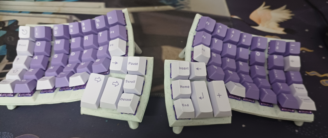 dactyl marbal